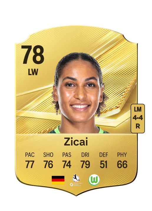 Zicai