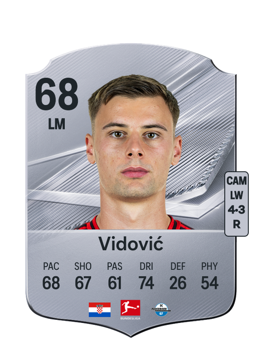 Vidović