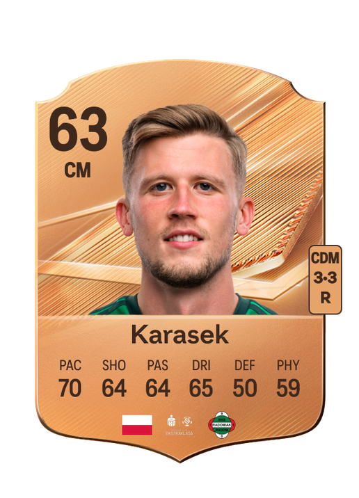 Karasek