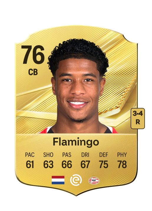 Flamingo