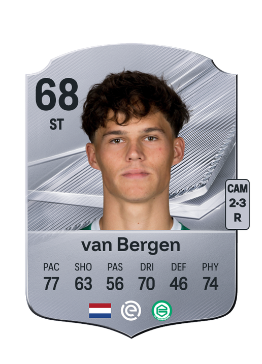 van Bergen