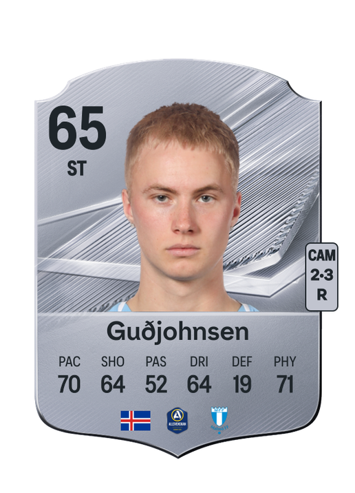 Guðjohnsen