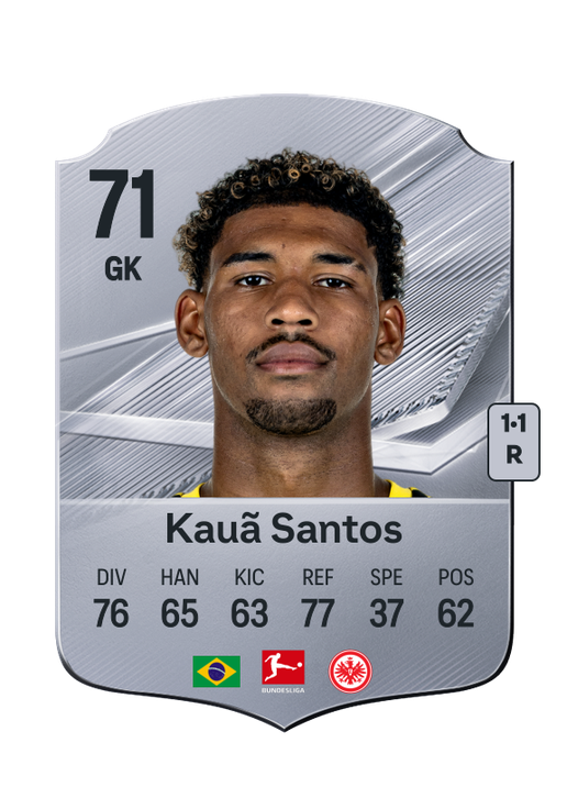 Kauã Santos