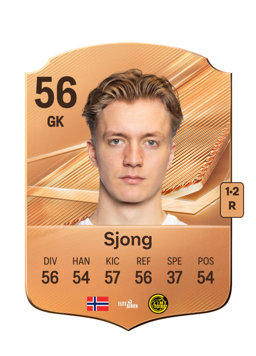 Sjong