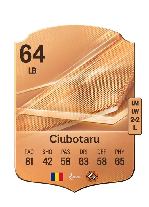 Ciubotaru